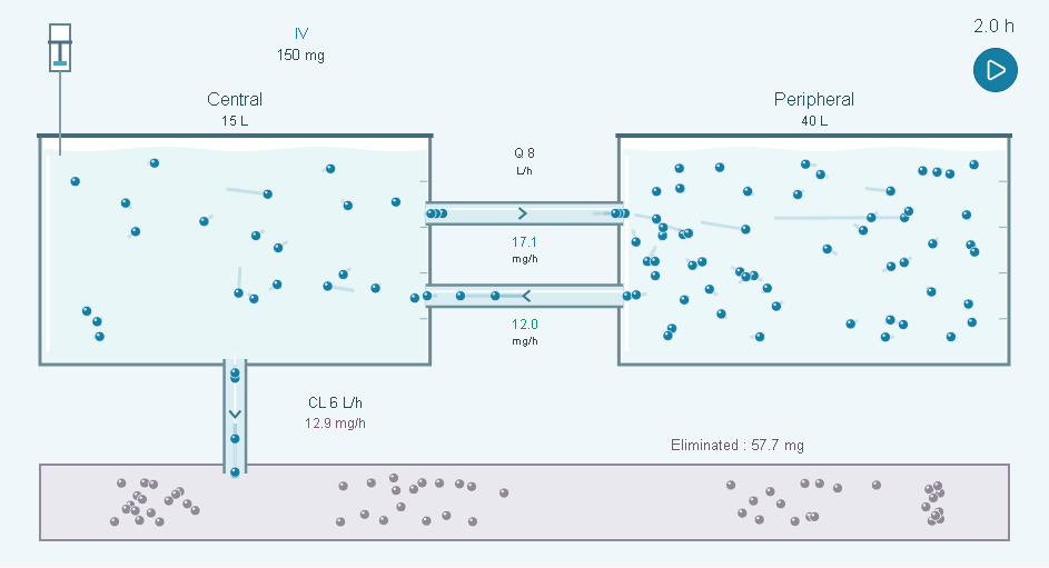 Central and peripheral compartments with illustrative drug particles and elimination, from the two-compartment laboratory.